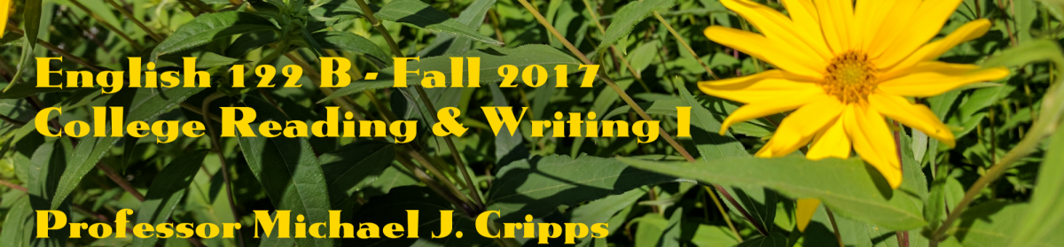 College Reading and Writing I – Section B